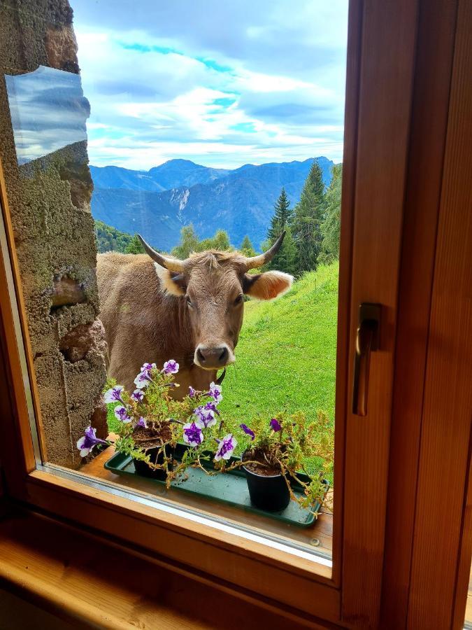 Chalet Chapeau Rar Castel Condino 外观 照片