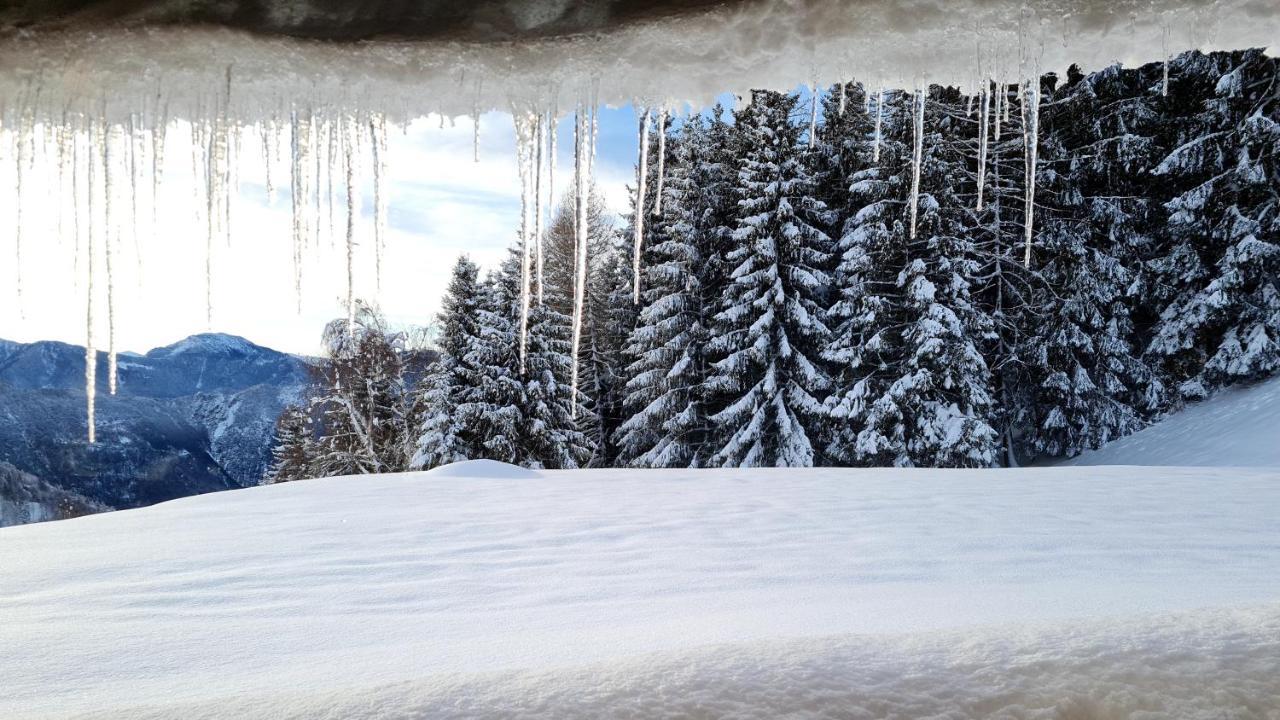 Chalet Chapeau Rar Castel Condino 外观 照片